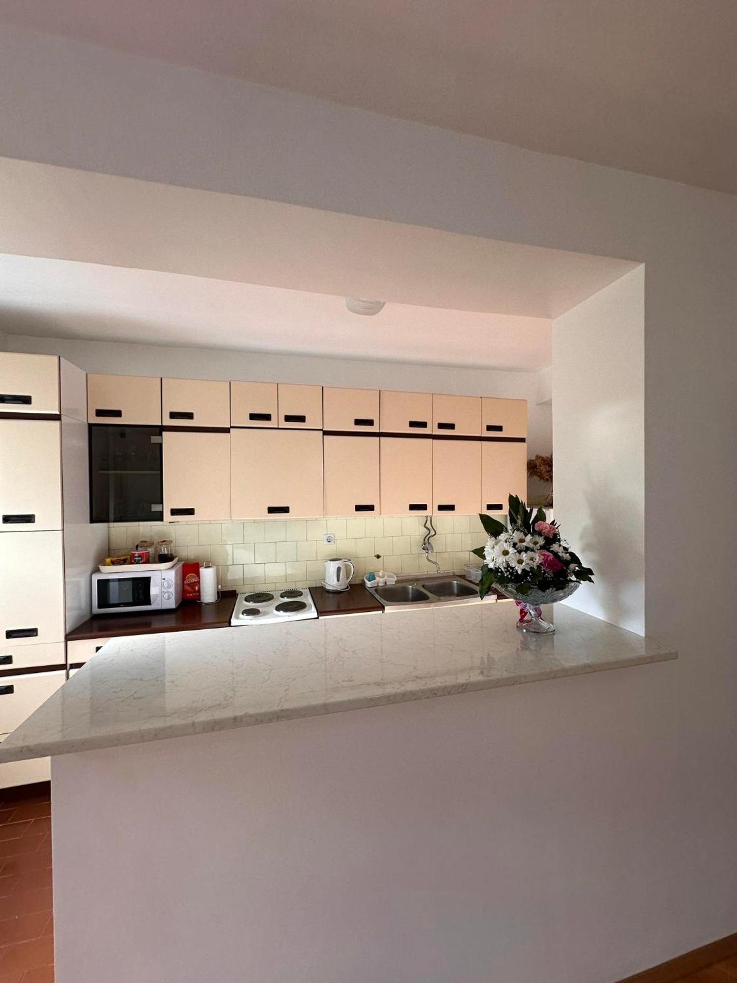 Viktor Apartment Kumanovo Eksteriør bilde