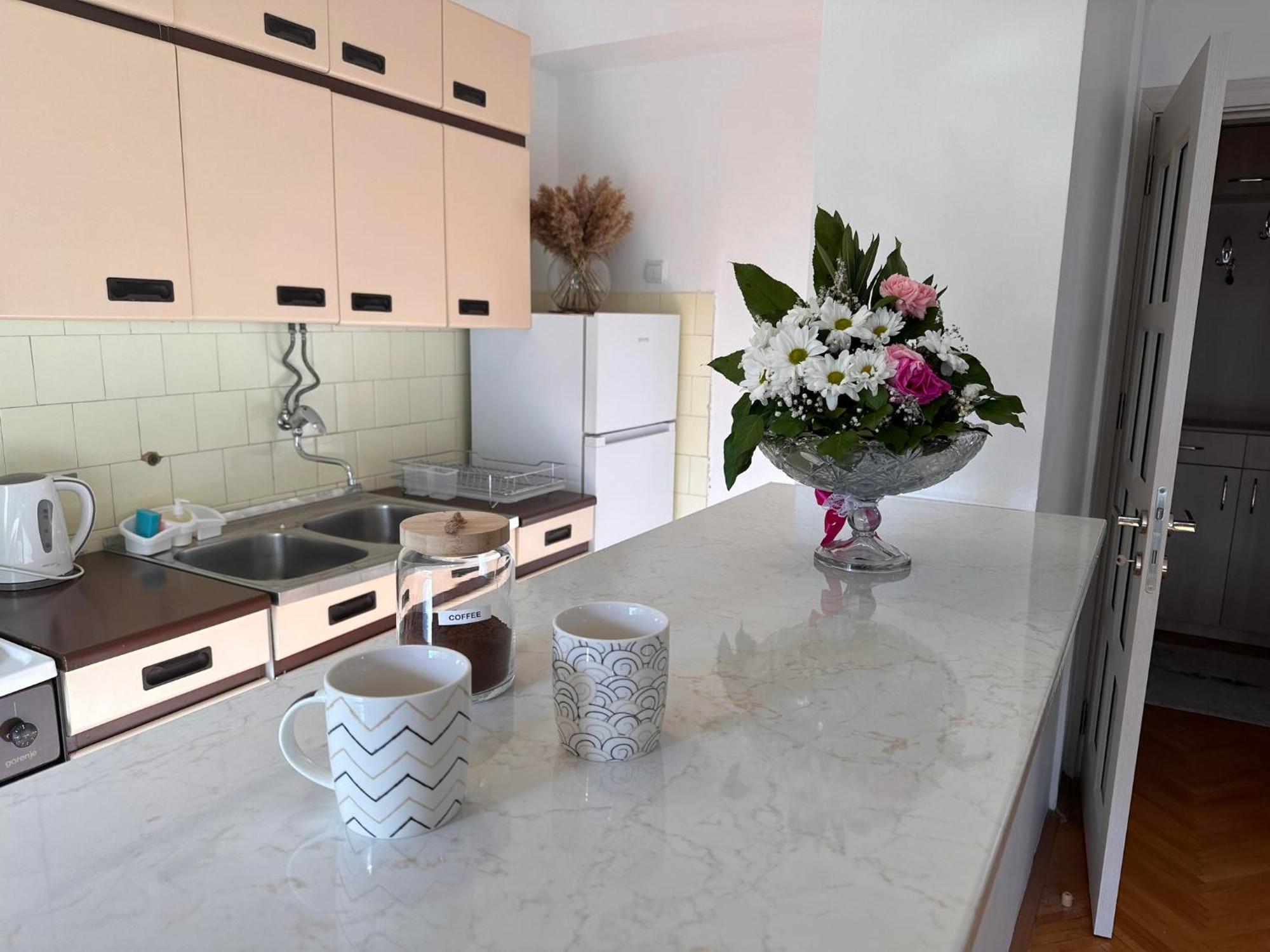 Viktor Apartment Kumanovo Eksteriør bilde